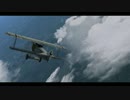 Wings Over Flanders Fields / "War Above The Trenches" minitage