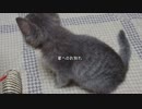 【心霊ちょっといい話part1】その23 家へのお別れ