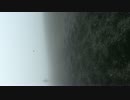 砂走り