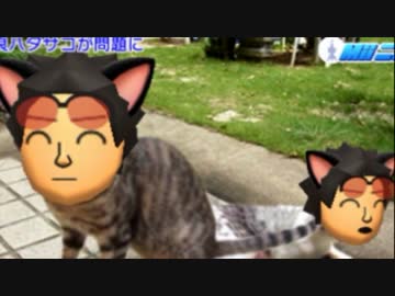 漢達のトモダチコレクション新生活　実況 13日目