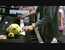 【ニセコイ：】 Rally Go Round -TV size- 演奏してみた 【キーボード】