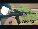 ｛ﾚﾋﾞｭｰ｝АК-12.А-545.ПЛ-14拳銃.mp4