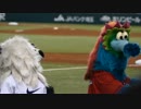 2015.6.9　ライオンズvsカープ　試合前のレオとライナとスラィリー　その2