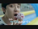 【K-POP】EXO-K & Red Velvet - Baskin Robbins CM 15s Ver (HD)【CM】