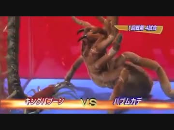 虫皇帝　ヘビー級対決まとめ　その２