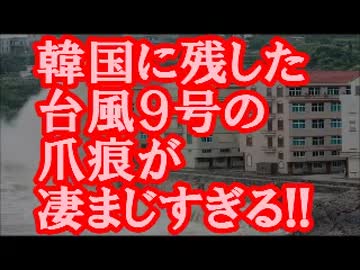 【超絶朗報】韓国に残した台風９号の爪痕が凄まじすぎるｗｗｗ