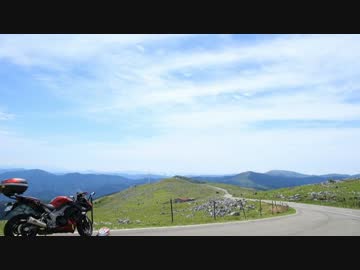 秋田犬が第６回TBCに入ってきたよ　前編　【Ninja1000】