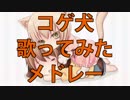 【作業用BGM】コゲ犬ソロ10曲歌ってみたメドレー！