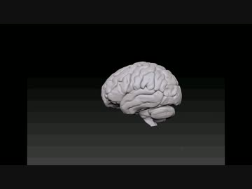 この暑さでも、とろけない脳・Brainの木型５Axis machining