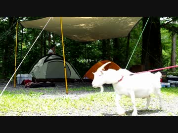 アウトドア雑記　友人とキャンプ【前編】
