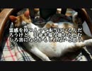 【ゆっくり怪談】死んだ飼い猫を呼び続けていた【怖い話】