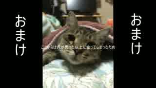 ブラボー！斧と爪で対人！　2戦目　斧、時々爪！後編