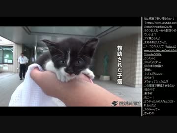 2015年 07月16日 永井兄弟 (動画鑑賞 2/2)
