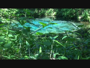 【癒し系】 神の子池③ 【自然音】