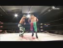 2013/12/8　【タッグマッチ】　CIMA&ドラゴン・キッド VS フラミータ&ロッキー・ロボ