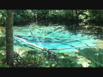 【絶景】　神の子池①　【癒し系】