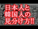 日本人と韓国人の見分け方、遂に最終結論が出ました！！