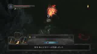 【実況】弓魔法厨の俺が近接スタイルに挑むッ！Darksoul2 part28