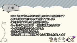 【APヘタリア】北米兄弟で「かみさまの心臓」実況_PartEx