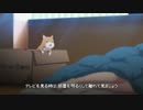 【MAD】 太郎丸とデスポエム 【がっこうぐらし！】