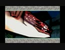 オオカミが世界を描いて救うゲーム「大神 絶景版」実況プレイ！ part21