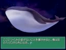 物語の謎に魅了されるEver17を実況したい Part44