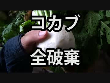 はじめての農家生活　その24