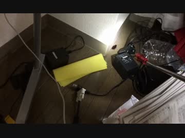 【実況】 ゴキブリ VS 実況者