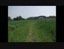 青空の下、新緑の多摩川河川敷を歩いてみたって