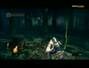 プレイ動画　ダークソウルをしよけんプレイ06　その１