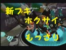 【実況】新武器ホクサイを初見でもっさり遊ぶ　スルメ２３