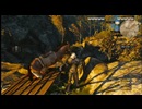NGC『ウィッチャー３ ワイルドハント』生放送　第７回 1/2