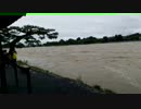 【嵐山】台風11号の増水撮ってみた【渡月橋】