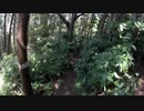 28Lリュックで行く、MTB林道走行＆ソロキャンプ　その１
