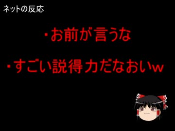 【ゆっくり政経】民主、「信用できない政府に権力を持たせたらダメだ」