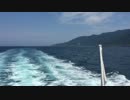 知床半島クルージング③