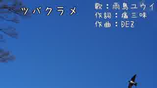 【雨鳥ユウイ】ツバクラメ【UTAUオリジナル曲】