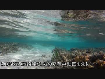 枯れた声で実況プレイ〜グアム島へ行って来ました！海中編〜