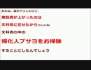 在日(朝鮮人/韓国人/帰化人)をぶっつぶせ!/Naturalized Japanese