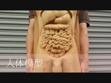 humanbody ♂ 人体模型 5Axis NC