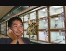 ペットを飼うためにペットショップに行く先輩.mp4