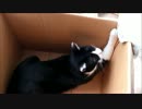 助　け　は　乞　わ　ぬ