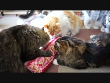 【#441】 香りクッション　【猫万歳】