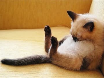 【kou0323】　ねむい　【オリジナル曲】