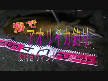 港でアオリイカ釣り１日目　皮付きウィンナー＆ゆず（弟子）