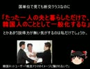 【ゆっくり政経】韓ネット民「韓流ドラマのイメージに騙されないで」