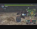 【MHP】今だから振り返る約10年前のモンハンを見ていく　～ part 15 ～