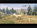 【GTA5】動物図鑑「シカ」【PS4】