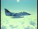 【疑似】Twilight Skyhawk