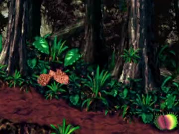 スーパードンキーコング2　ロストワールドステージ